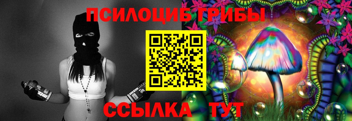 Псилоцибиновые грибы прущие грибы  Вход с VPN  Нововоронеж 